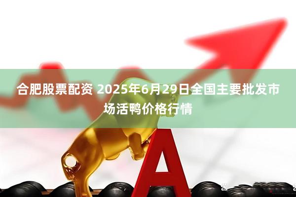 合肥股票配资 2025年6月29日全国主要批发市场活鸭价格行情