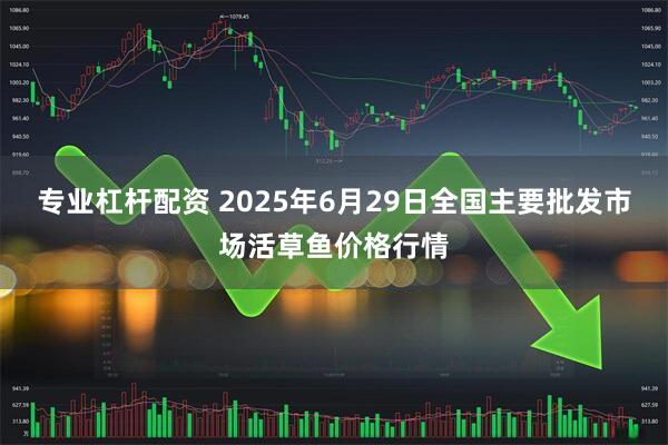 专业杠杆配资 2025年6月29日全国主要批发市场活草鱼价格行情